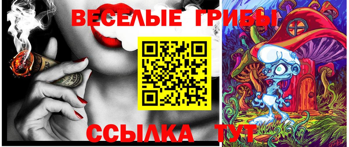 Галлюциногенные грибы MAGIC MUSHROOMS Гусев