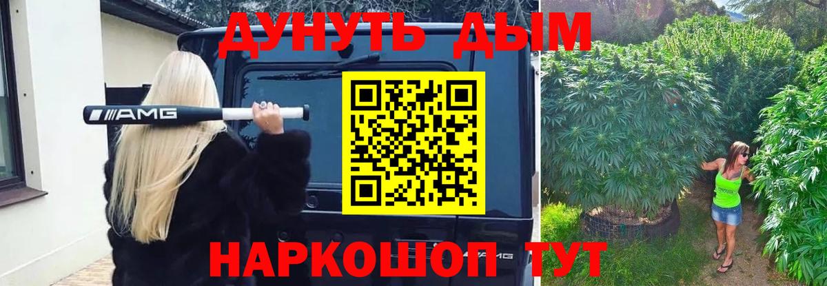 Конопля марихуана Гусев